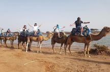 Dromedary Safari: 2 hours