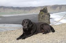 Private Day Trip To The Icelandic South Coast from Reykjavik