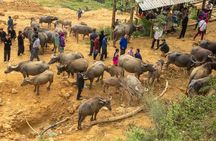 Sapa, Bac Ha Market Tour - 1 Day Tour