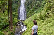 Day Trip Coffee Tour and Materuni Waterfalls