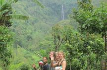 Day Trip Coffee Tour and Materuni Waterfalls