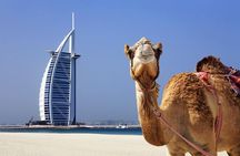  Dubai City Tour : Half Day