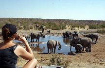 3 Day Etosha Budget Camping Safari