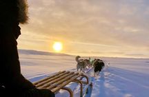 Small-Group Dog Sled-Ride with Transfer Service