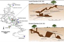 Full-Day Cradle of Humankind Guided Tour from Johannesburg or Pretoria