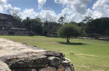Altun Ha Mayan Ruins & Zipline Tour from Belize City All Inclusive