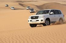 PRIVATE Red Dune Desert Safari, BBQ Dinner, Camel Ride & Falcon Photo