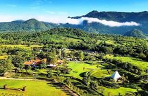 Khao Yai Winery - Vineyard Tours & Animal Lover with Horse Farm 