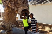 Port Royal Heritage & Sightseeing Tour from Kingston