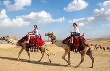 Tour to Giza Pyramids,Egyptian Museum, Market, Lunch 5 stars Nile Cruise,camel 