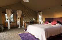 5 Days 4 Nights Tarangire, Serengeti , Ngorongoro & Manyara Wildlife Safari 