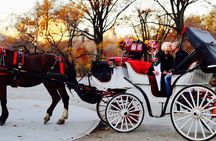 45 min Long VIP Central park carriage ride 