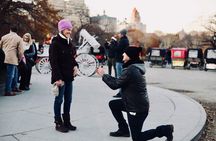 45 min Long VIP Central park carriage ride 