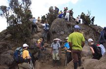 Machame Route 6 days 5 Nights/Kilimanjaro Climb 
