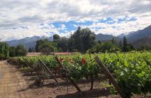 Aconcagua Private Wine Lovers Premium Tour