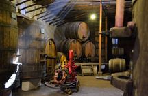 Aconcagua Private Wine Lovers Premium Tour