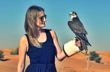 Red Dunes Safari with BBQ dinner, Falcon and Camel Ride