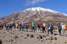 Machame Route 6 days 5 Nights/Kilimanjaro Climb