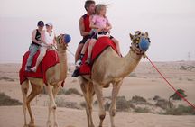 Golden Dunes & Sunset Safari with BBQ, Camel Ride & Sandboarding