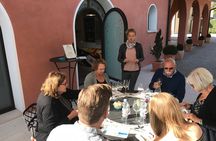 Wine Tour whit wine tasting