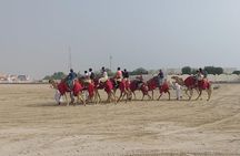Doha Desert Safari: Dune Bashing, Sandboarding & Inland Sea