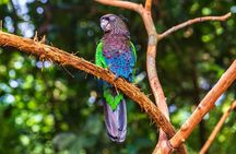 Iguassu Bird Park - Tickets Included