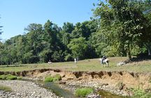 Rancho Típico Don Juan, Horseback Riding tour