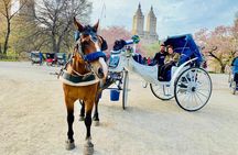 45 min Long VIP Central park carriage ride 