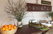 Katakolon 7hour tour : Olympia-Honey Farm-Winery-Beach