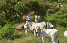 Rancho Típico Don Juan, Horseback Riding tour