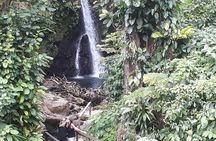Dominica Half-Day Tour: Mero Beach, Waterfalls, Mineral bath Wotten Waven 
