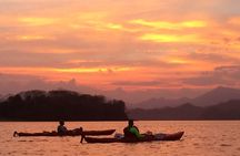 Bioluminescent Kayak Tour