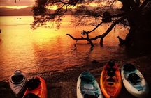 Bioluminescent Kayak Tour