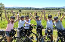 Sonoma Valley Pedal Assist Bike Tour