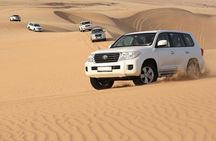 Morning Dubai Red Dunes Safari with Camel Riding & Sand Boarding