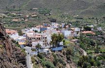 Tastes of Fuerteventura Minivan VIP Tour