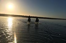 Horseback riding at sunrise 3h