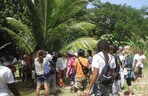 Rastafari Indigenous Village Tour 