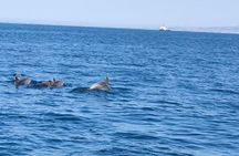Romantic Night on Board in Positano