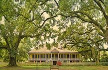 Private Airboat Ride and Plantations Tour with Gourmet Lunch from New Orleans
