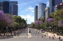 Small Group: The Ultimate Mexico City Tour