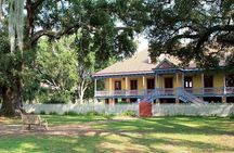 Small-Group Laura and Whitney Plantation Tour from New Orleans