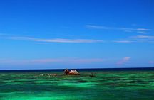 Roatan North Side Mangroves, Starfish, Shipwreck Snorkeling & Transportation