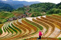 Longji Rice Terraces Day Tour from Guilin hotel