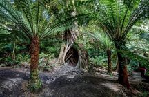 Adelaide to Melbourne 3-Day Trip through Grampians and Great Ocean Road