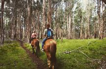 Terevaka morning ride and replanting in the top of the Island