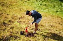 Terevaka morning ride and replanting in the top of the Island