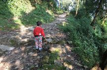 Pokhara: Day Hiking form Dhampus to Australian Camp 
