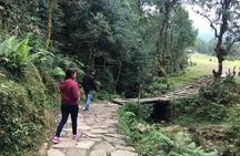 Pokhara: Day Hiking form Dhampus to Australian Camp 