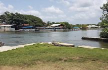 Appleton Estate Rum, YS Falls, Black River Safari / Floyd's Pelican Bar Tour 